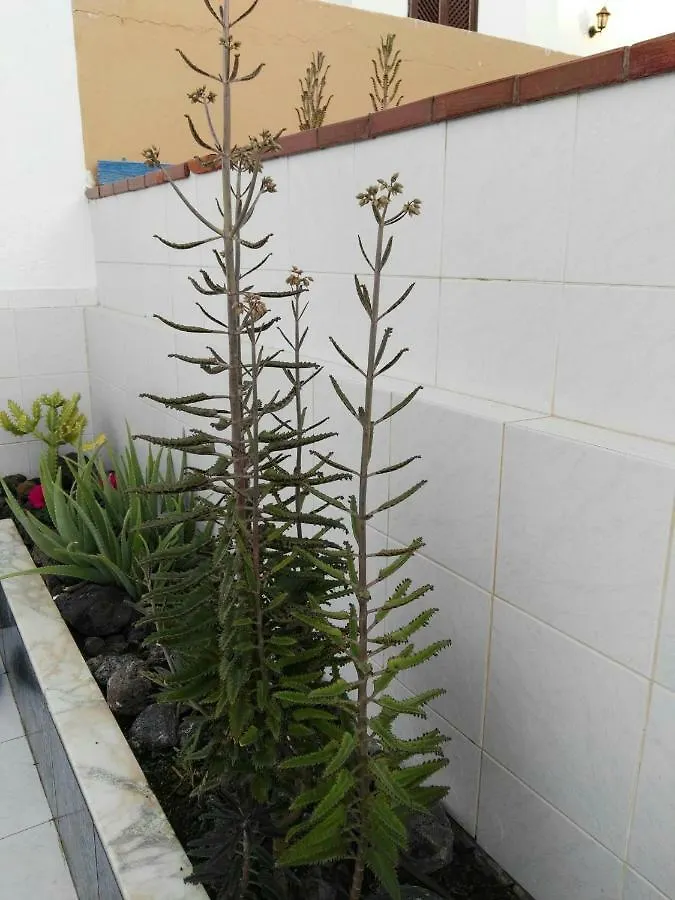 Tenerife Pearl Διαμέρισμα Πλάγια ντε λας Αμέρικας
